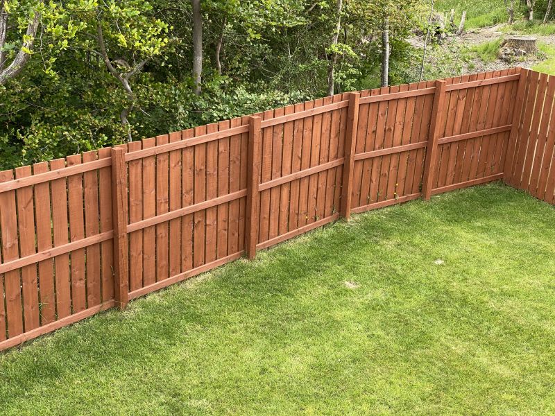 Painting of Backyards and Fences